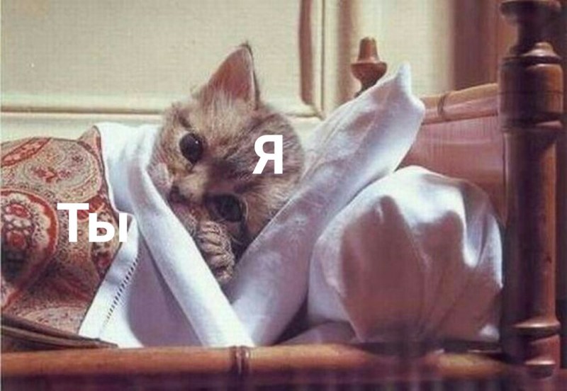 Кошечка приболела
