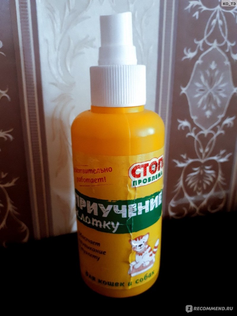 Пшикалка для приучения котенка к лотку