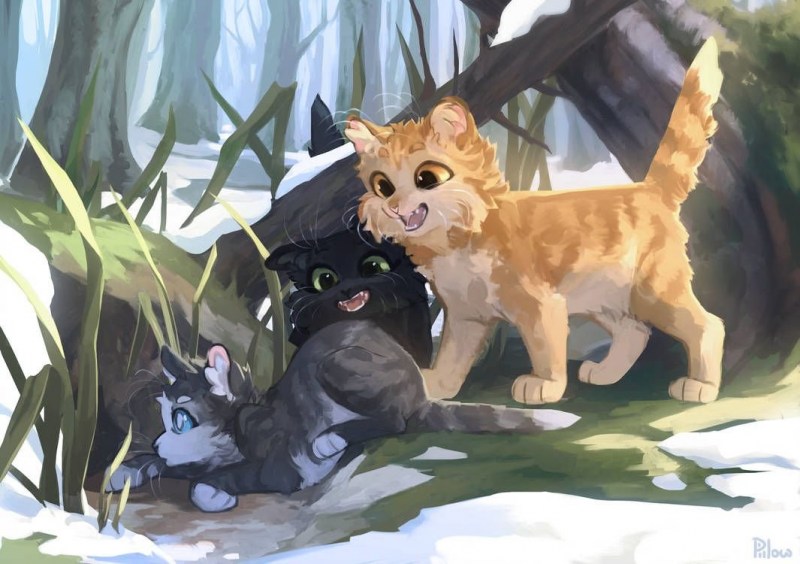 Кошка несет котенка
