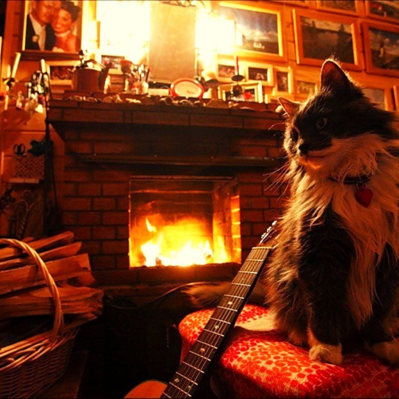 Кот на печке