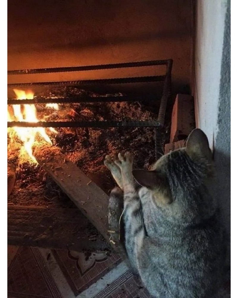 Домовой запечник