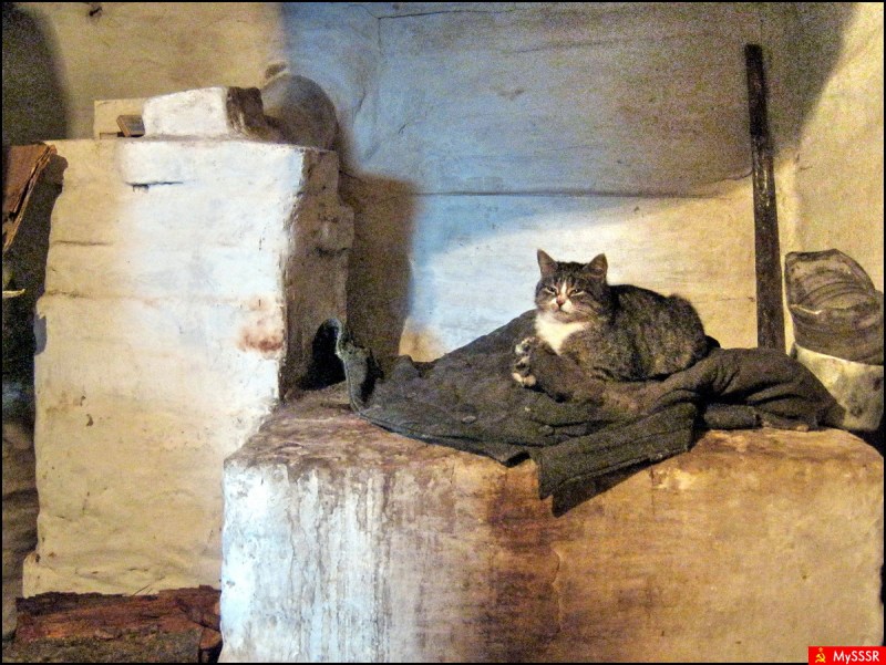 Печка с кошкой