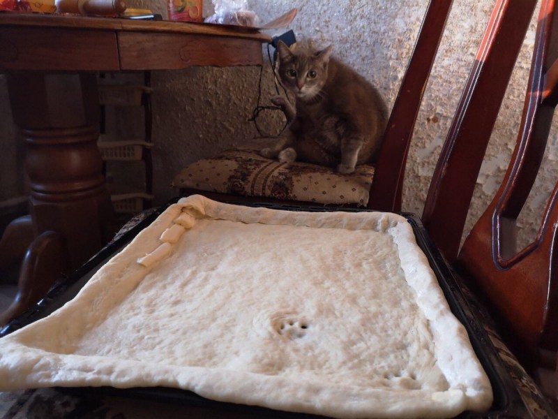 Кот свесил лапы