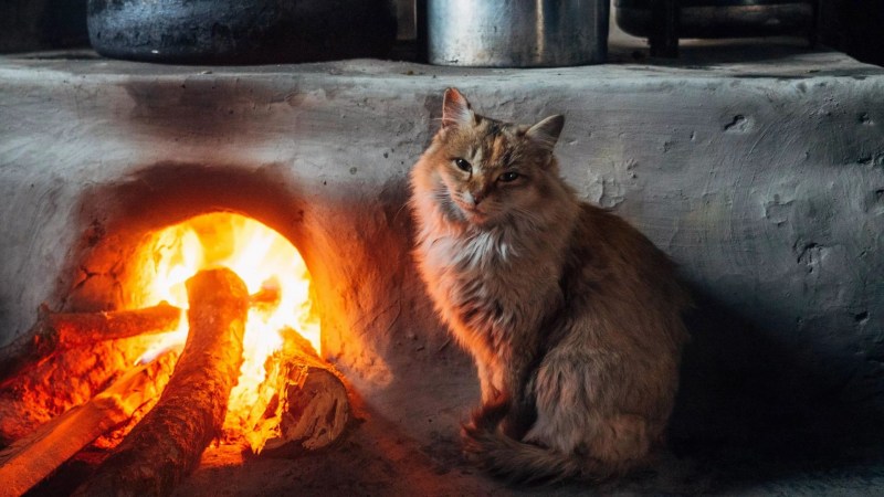 Уютно у печки