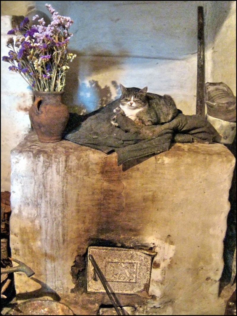 Кошка на печи