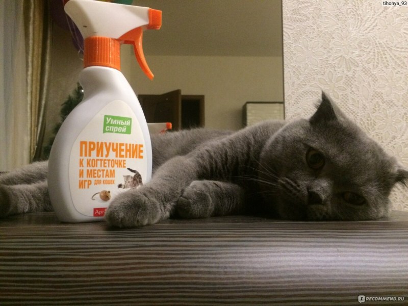 Кошки клейкая лента