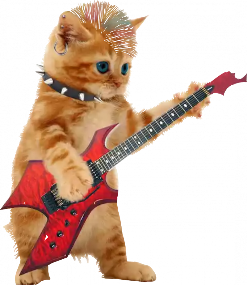 Котик поет