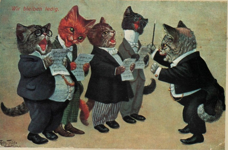 Хор котов