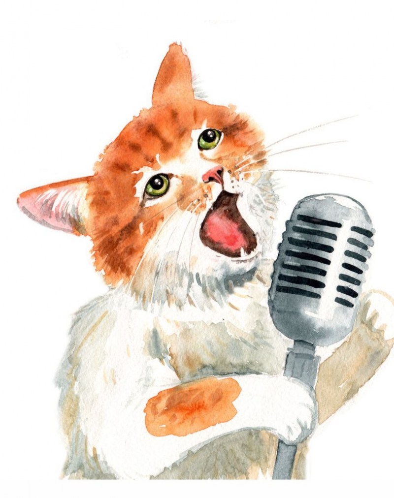 Кот с микрофоном