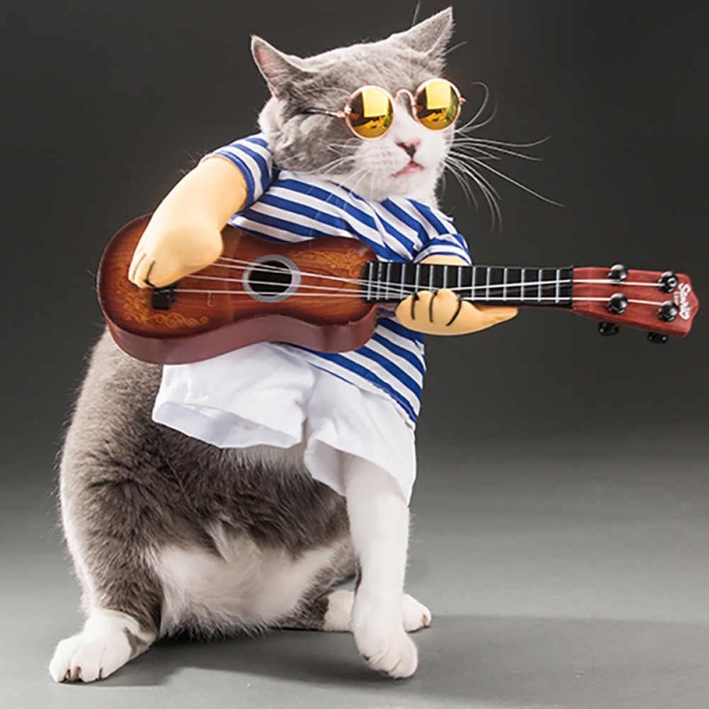 Котик с гитарой