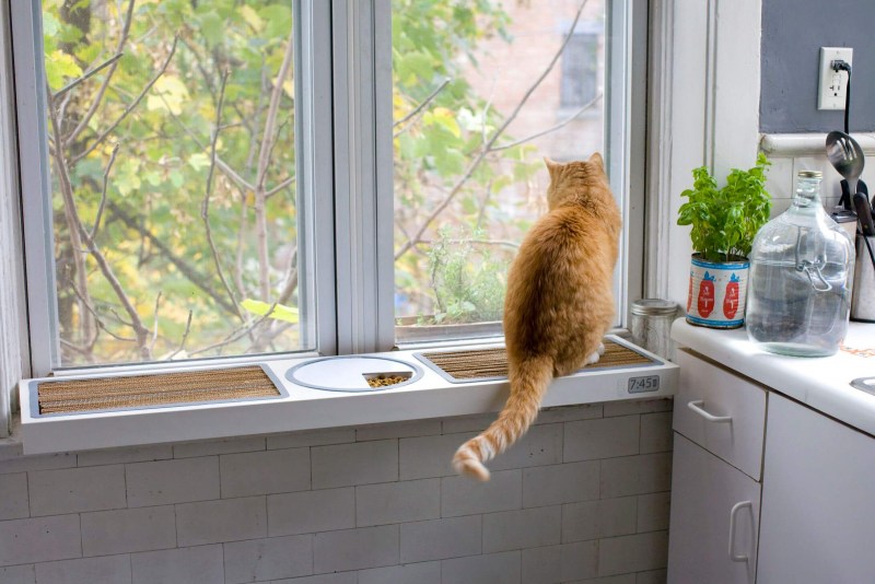 Кошка на подоконнике