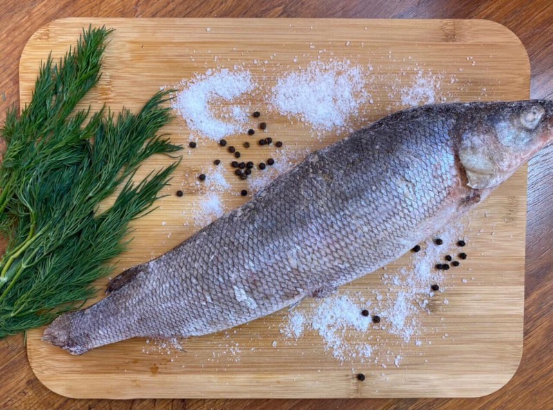 Рыба похожая на муксуна
