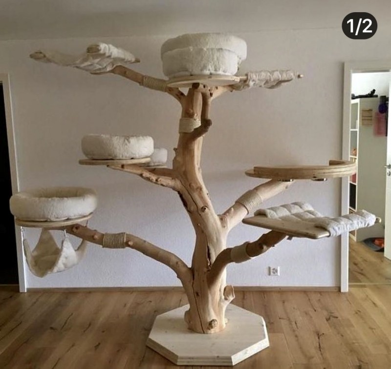 Кошки на дереве