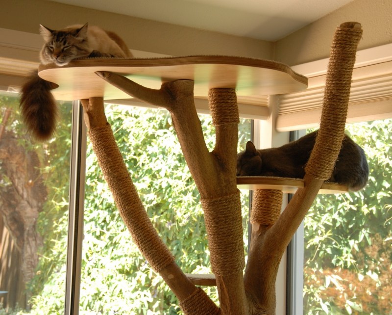 Кошачья лазалка дерево