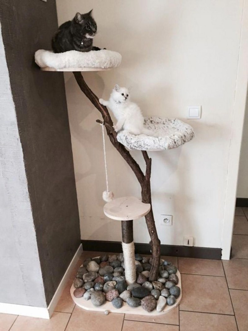 Натуральное дерево для кошек