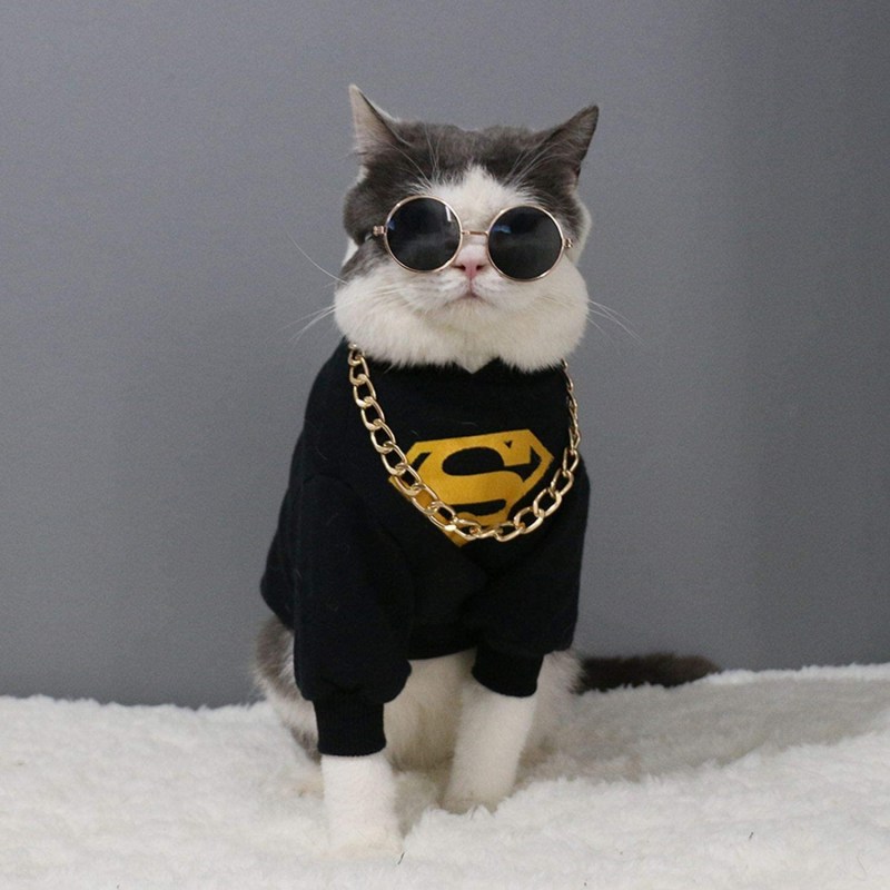 Крутые коты