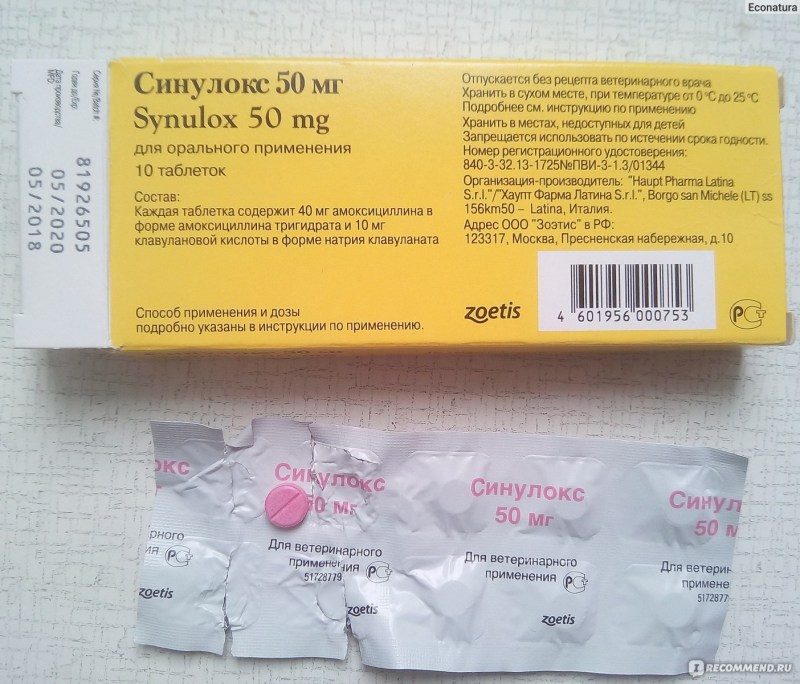 Антибиотик суспензия для котят
