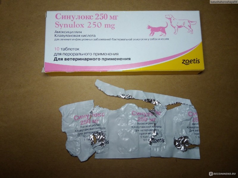 Собачий антибиотик синулокс
