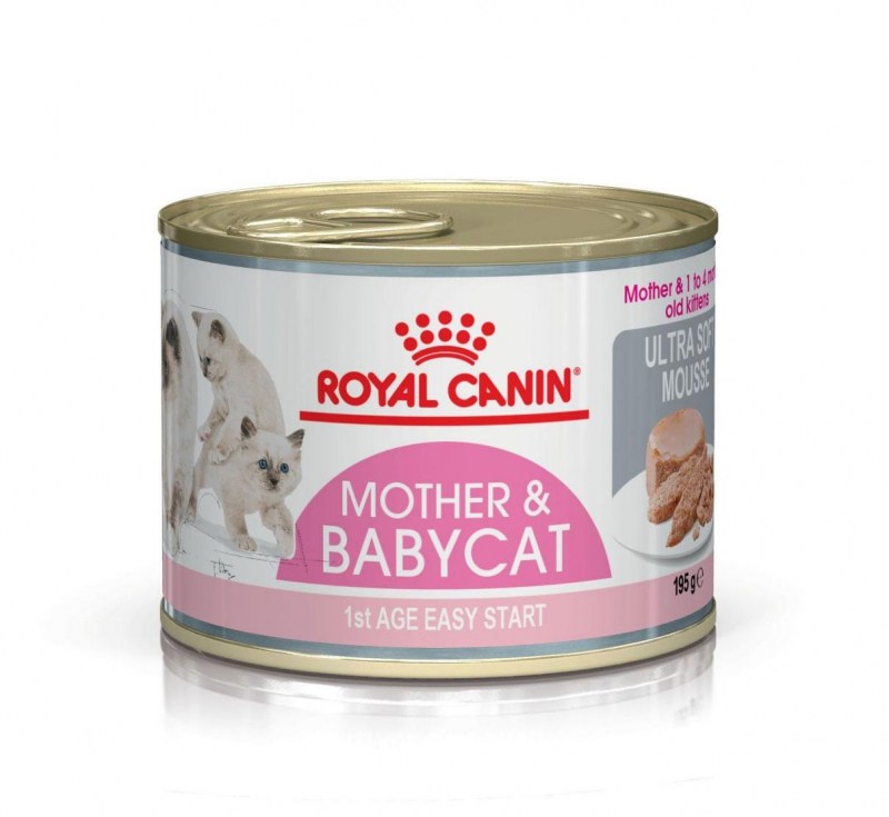 Роял Канин для кошек mother Babycat консервы