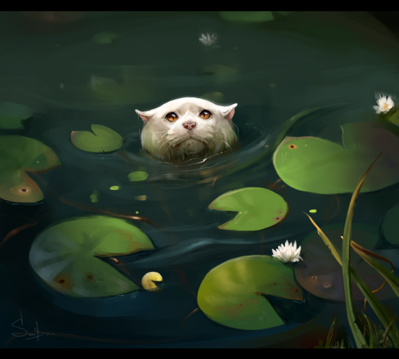 Водяной кот