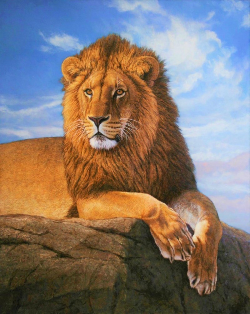 Лев картинки