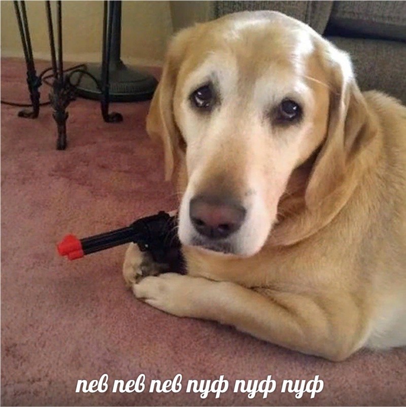 Кот испачкался