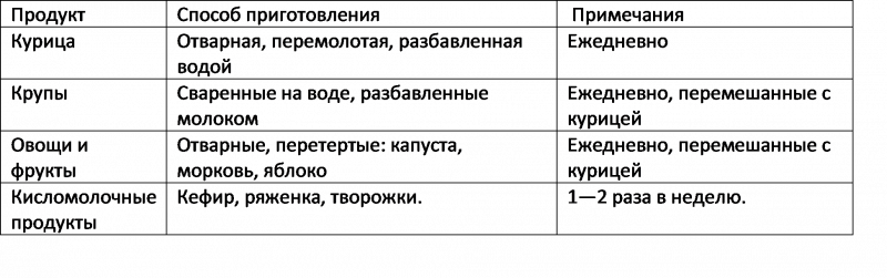 Британский кот и еда