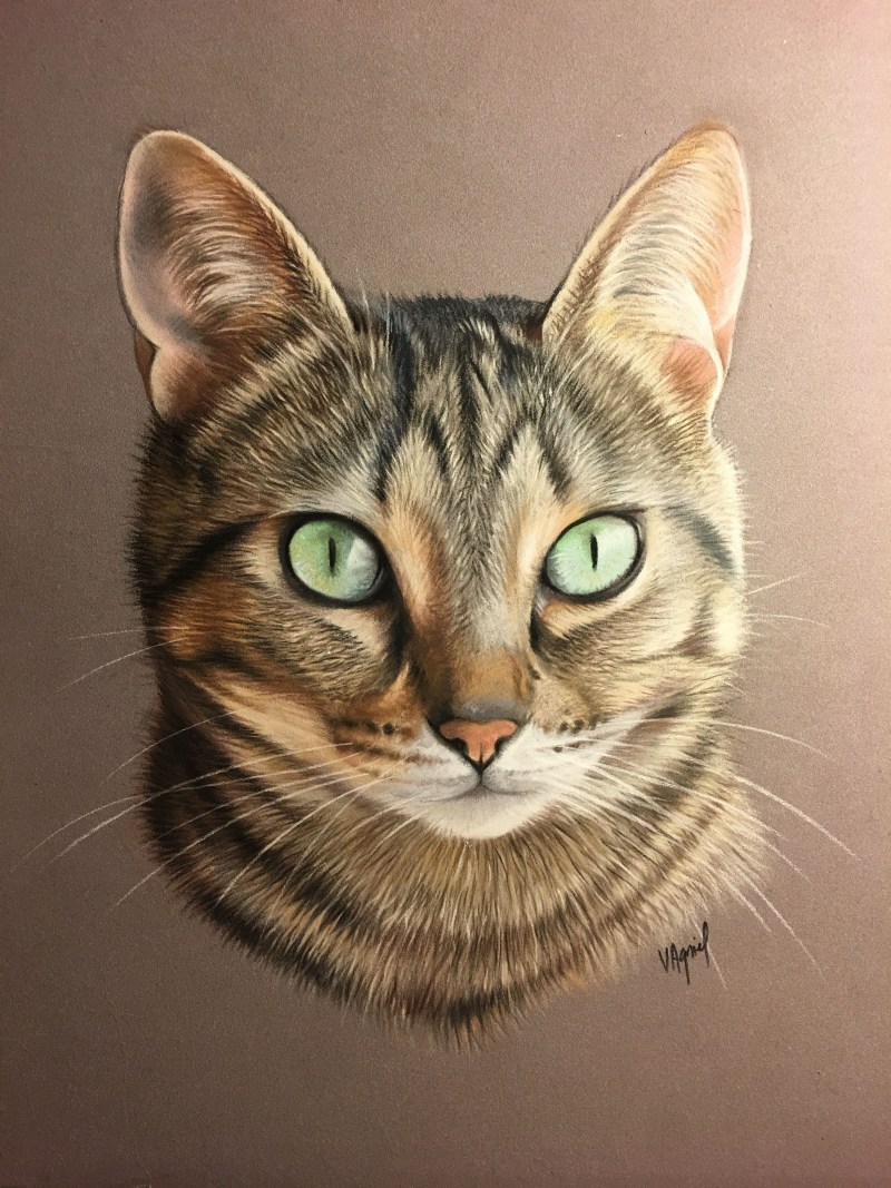 Кошка реалистичная