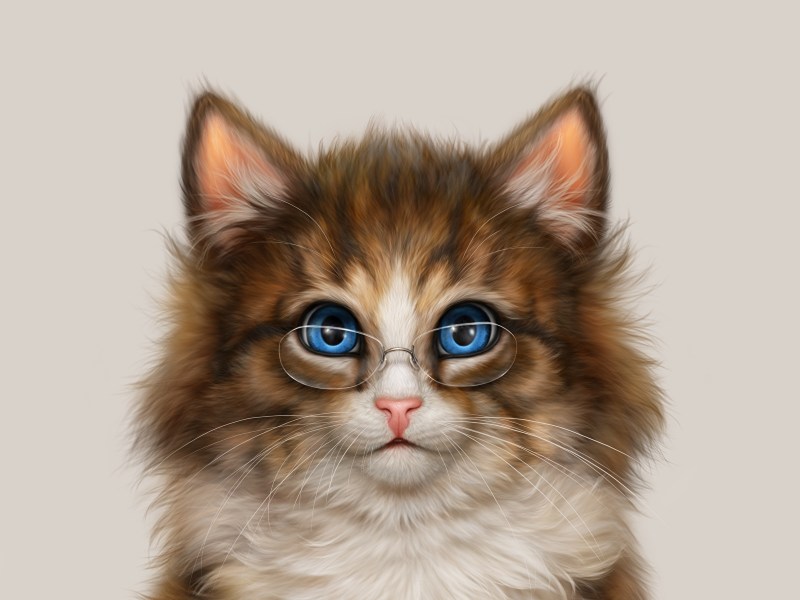 Кошка рисунок