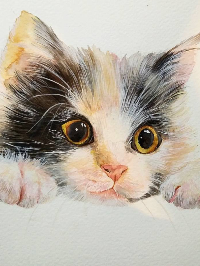 Кот акварелью