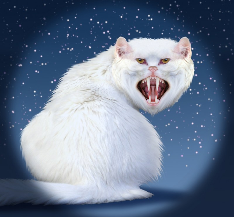 Уродливый белый кот