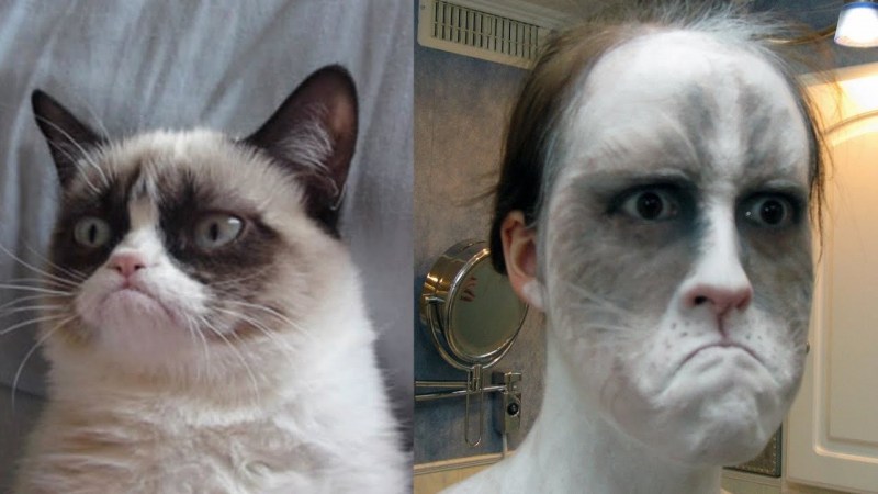 Мемы с котом