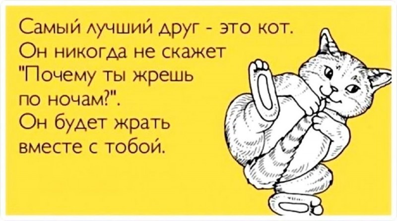 Мама накричала на папу папа накричал на сына сын накричал на кошку