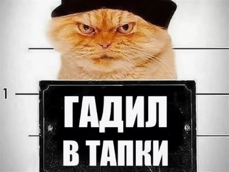 Гадил в тапки