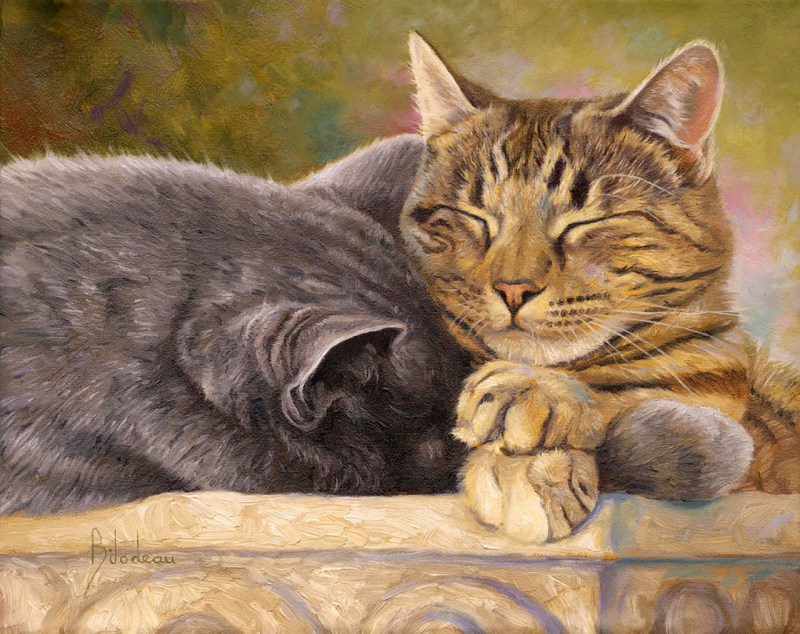 Коты художник Люси Билодо