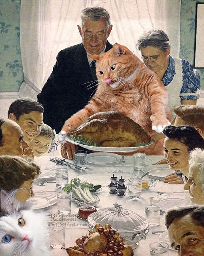 FATCATART Светланы Петровой