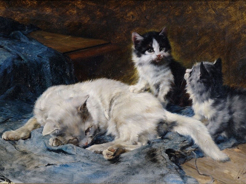 Джулиус адам (1852-1913)