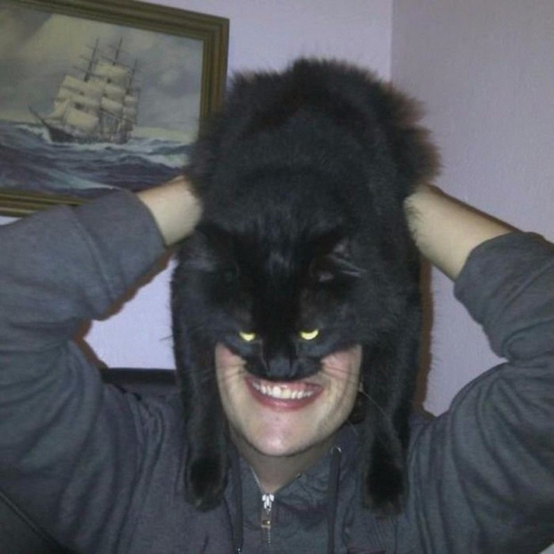 Черный кот угар