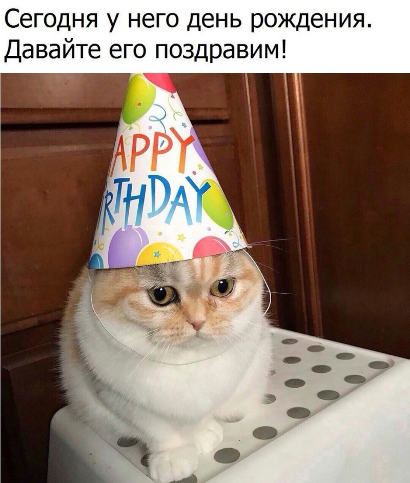 Рина Леина