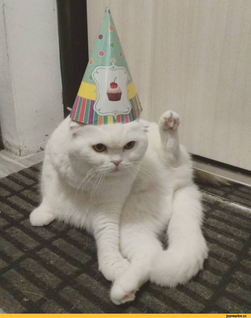Вжух и деньги