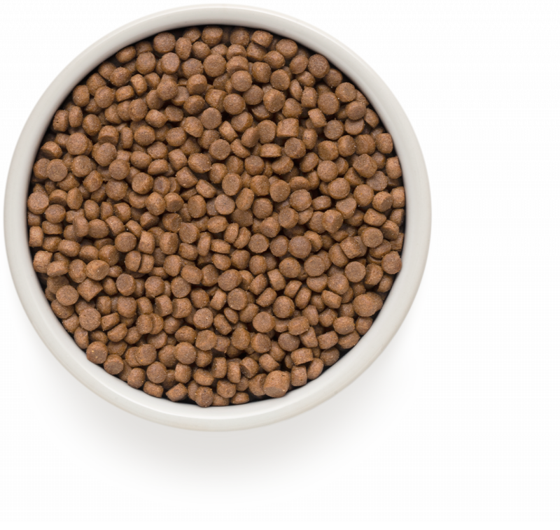 Grandorf 4 meat Brown