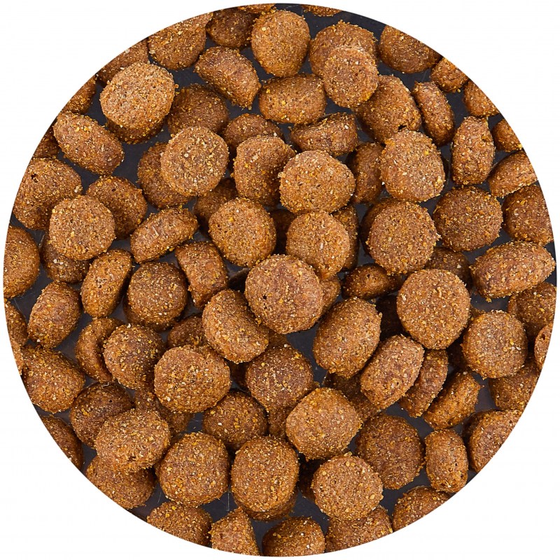 Корм для собак Meglium (3 кг) Sport
