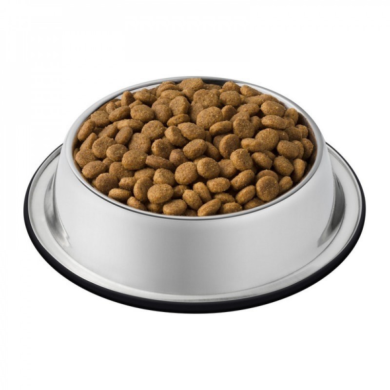 Кошачий корм Cat food