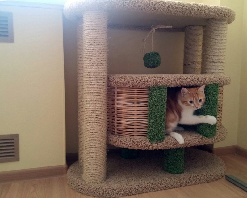 Комплекс для кошек фидика