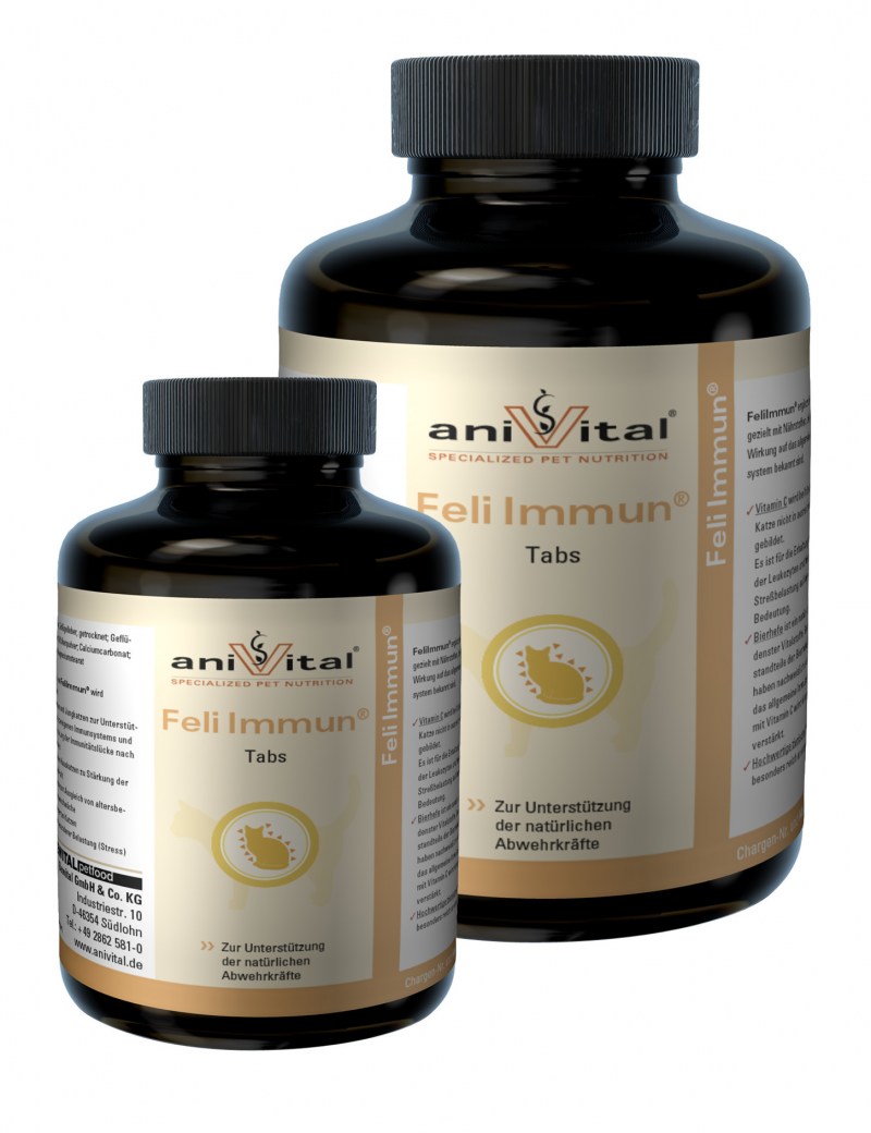 Anivital CANIAGE для пожилых собак