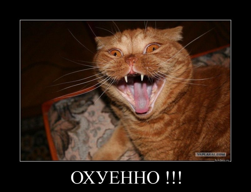 Уссусь со смеха