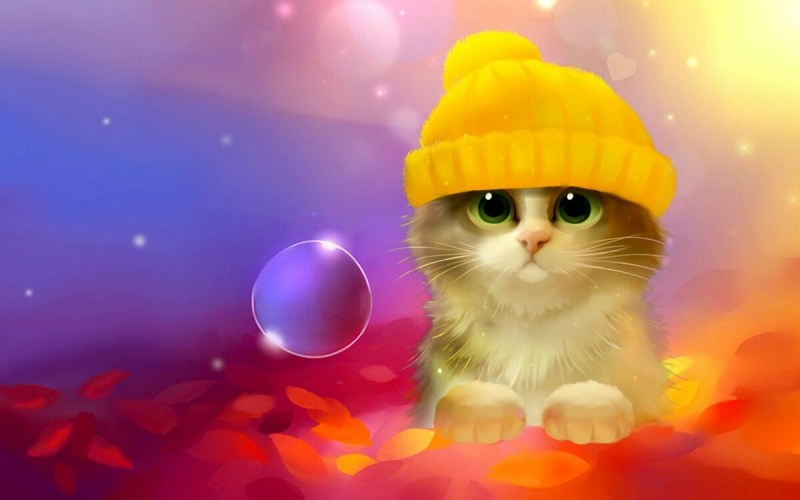 Шапочка котика