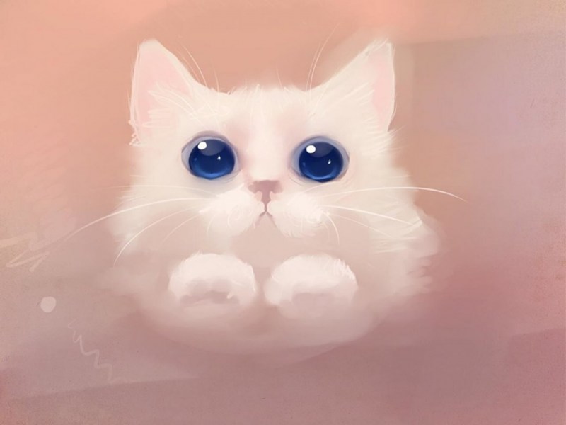 Няшный кот