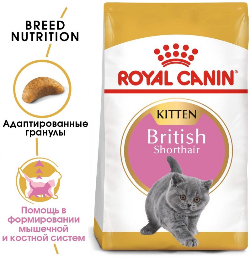 Royal Canin British Shorthair 2 кг