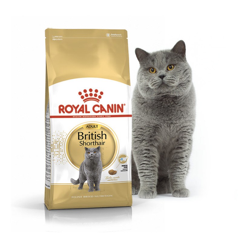 Royal Canin British Shorthair 400+400